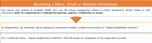 Micro Small and Medium MSME